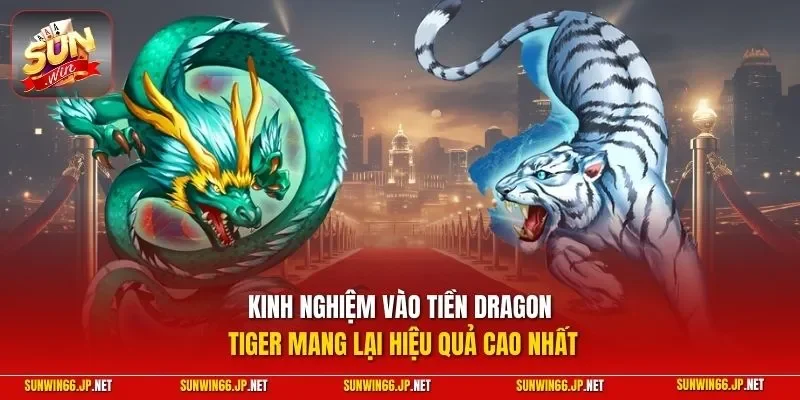 Kinh nghiệm vào tiền Dragon Tiger mang lại hiệu quả cao nhất